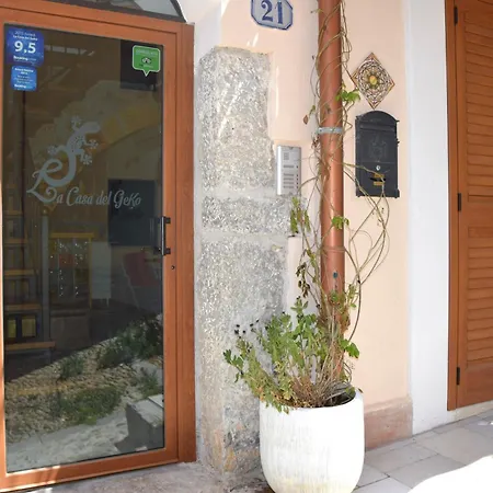La Casa del Geko-2